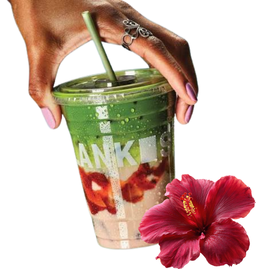 Hibiscus Bissap Matcha