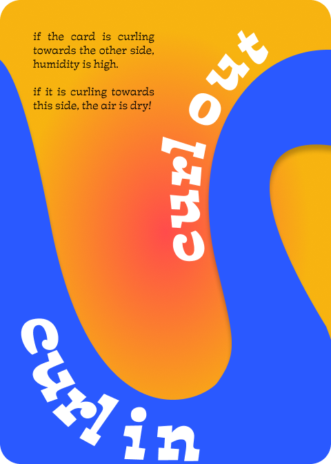 Blue and orange colorway