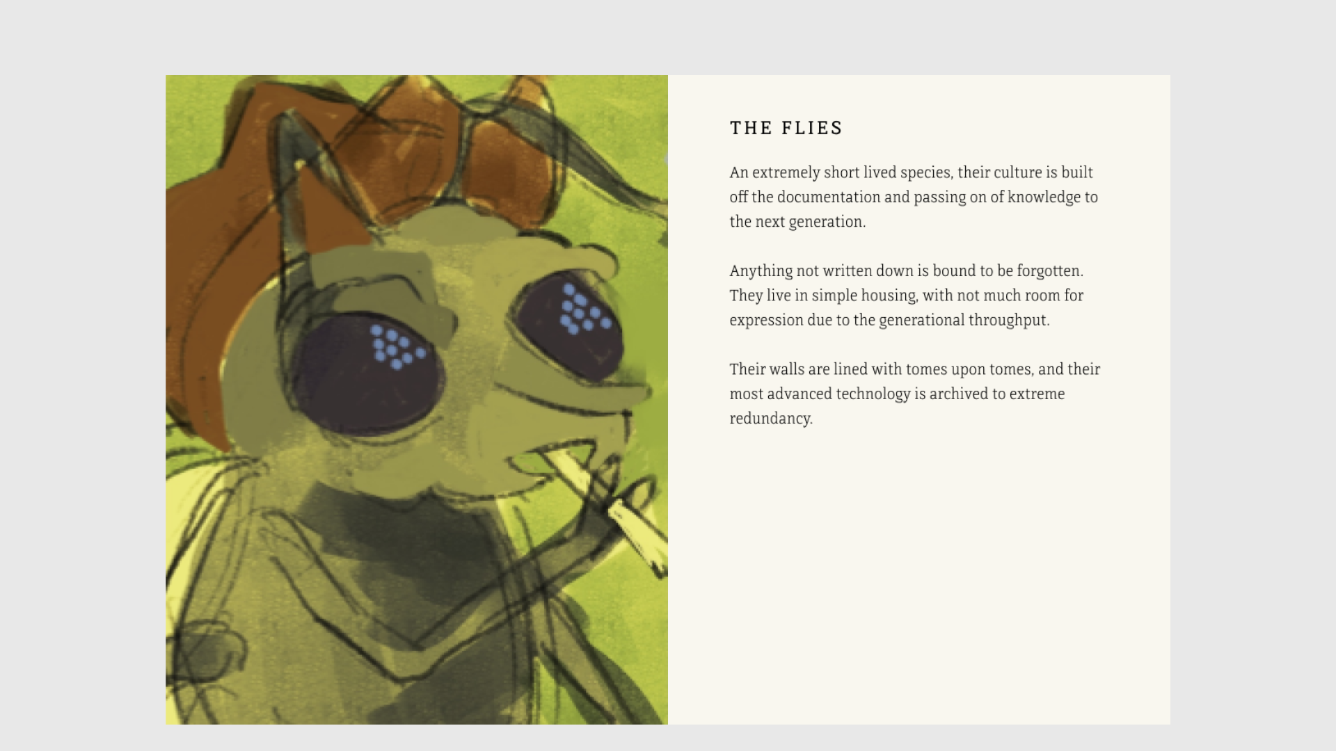 The Flies entry