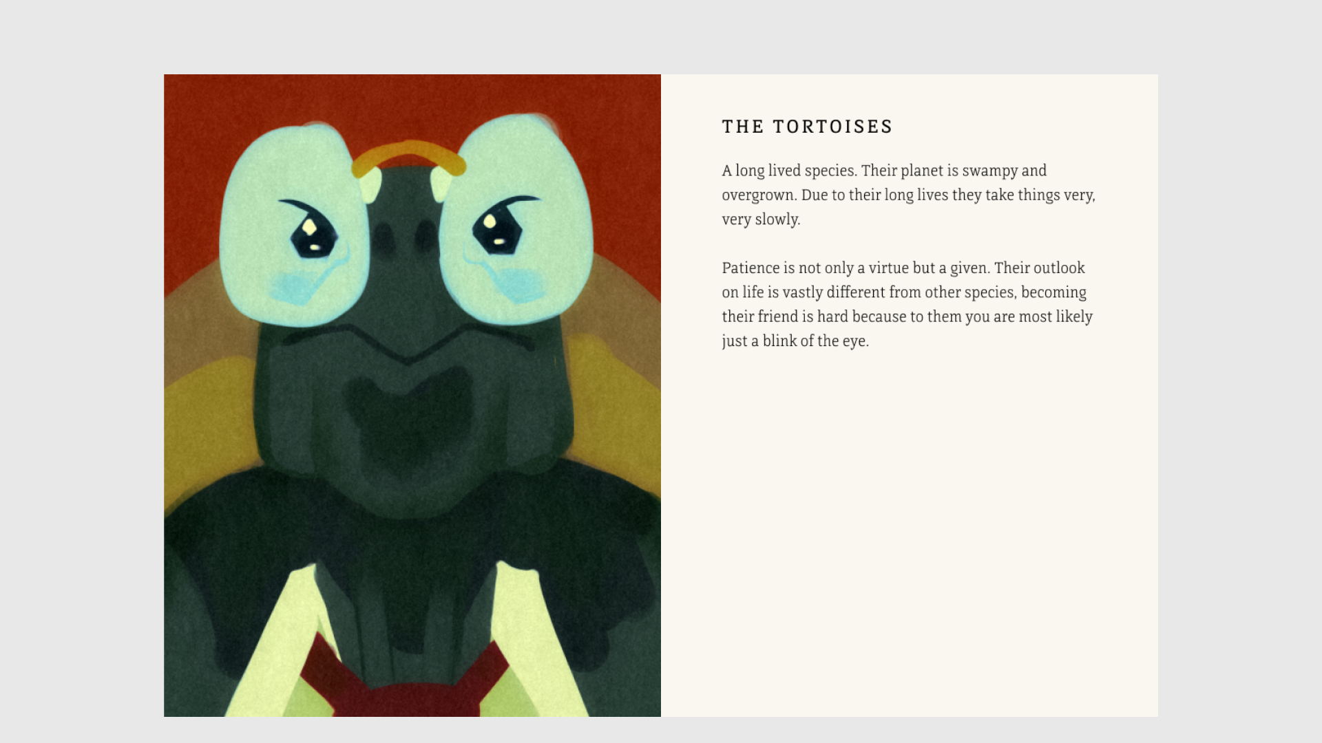 The Tortoises entry