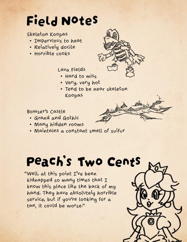 Koopa Kingdom field notes