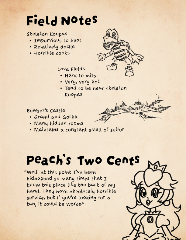 Koopa Kingdom field notes